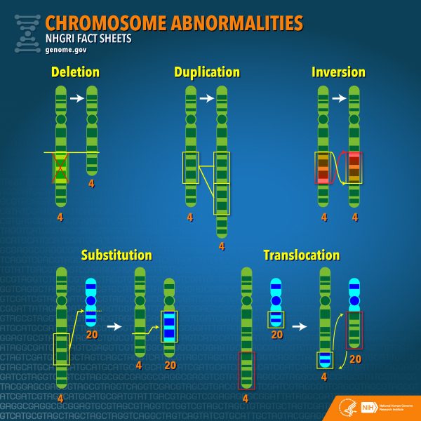 alteraciones cromosomicas autismo
genolife
estudio genetico