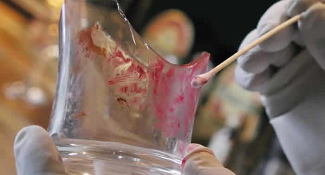 bsc-forensic-science-teaser bsc-forensic-science-teaser