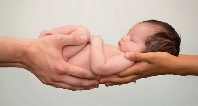 paternidad paternidad
