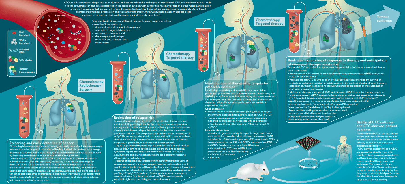 poster biopsia liquida