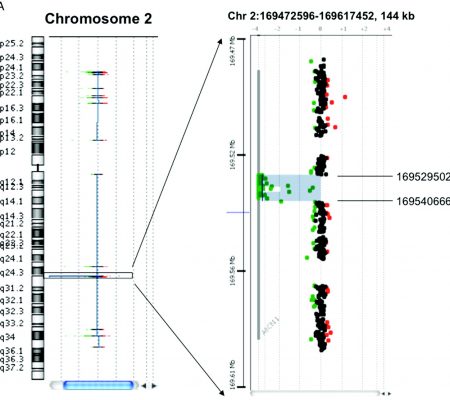Array CGH Cariotipo Molecular
Diagnostico Genético