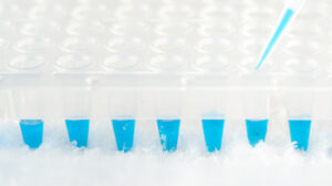 Plastic tube, pipette tip filled in with blue reaction mixture and disposable plastic wells. Professional tools to amplify DNA for genetic analysis. Panoramic background with text space.