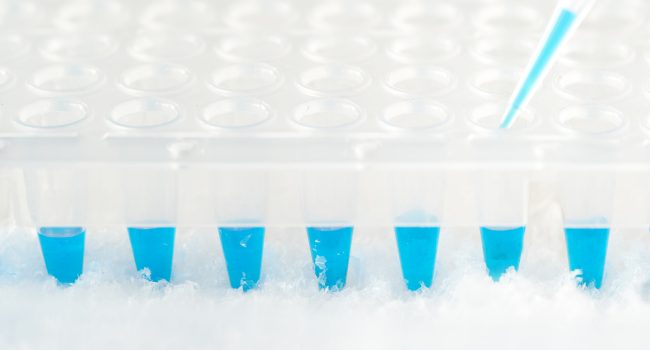 Plastic tube, pipette tip filled in with blue reaction mixture and disposable plastic wells. Professional tools to amplify DNA for genetic analysis. Panoramic background with text space. Plastic tube, pipette tip filled in with blue reaction mixture and disposable plastic wells. Professional tools to amplify DNA for genetic analysis. Panoramic background with copy-space.